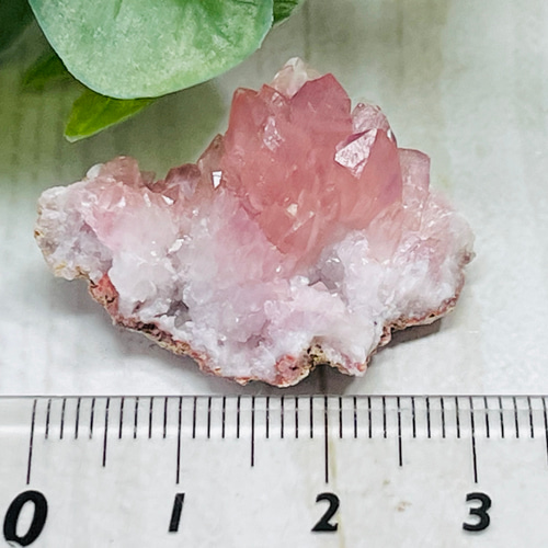 アルゼンチン産 睡蓮ピンクアメジスト クラスター 紫水晶 water lily