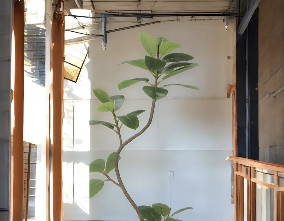 光触媒　人工観葉植物　ウォールグリーン　フェイクグリーン　フレッシュツイストゴムの木1.75