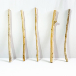 流木ハンガー のおすすめ人気通販 検索結果｜Creema(クリーマ