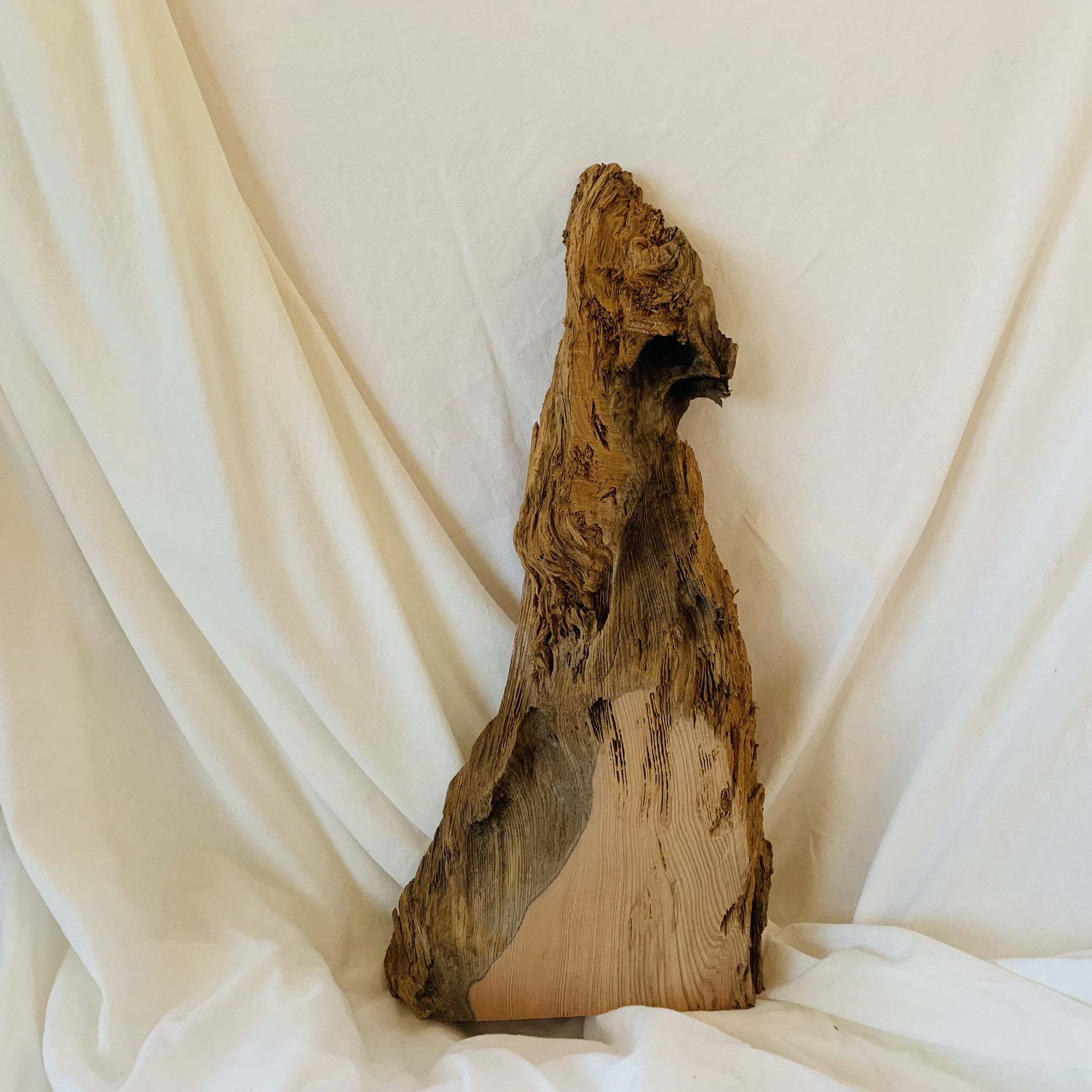 木の結婚証明書　屋久杉　Mサイズ