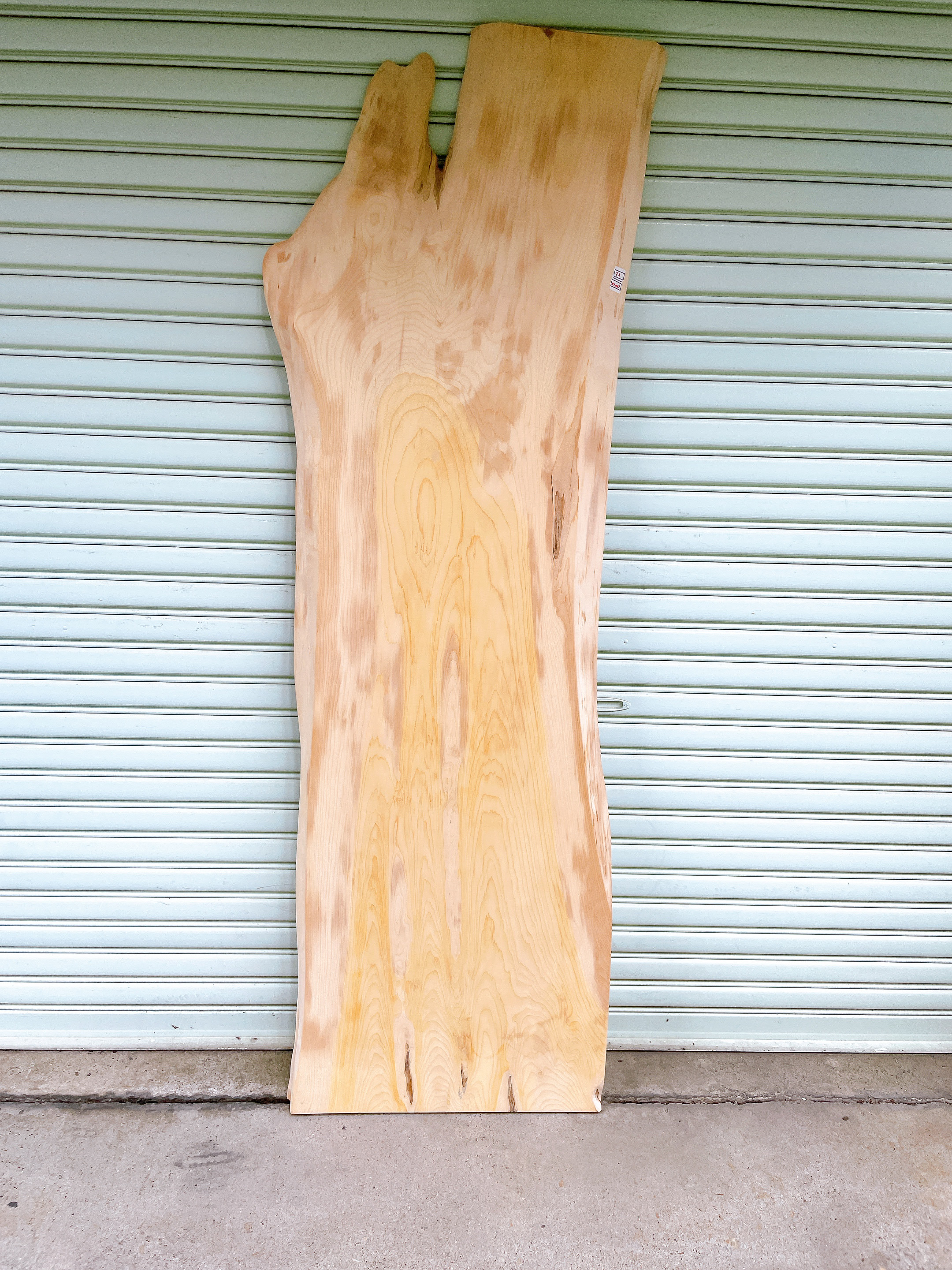 天然　カヤ　机　木材　天板　カウンターテーブル　デスク　テレビ台　一枚板