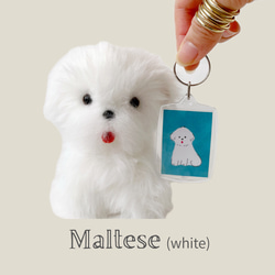 マルチーズ ぬいぐるみ のおすすめ人気通販 検索結果｜Creema(クリーマ