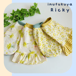 ミモザ ペットグッズ のおすすめ人気通販｜Creema(クリーマ