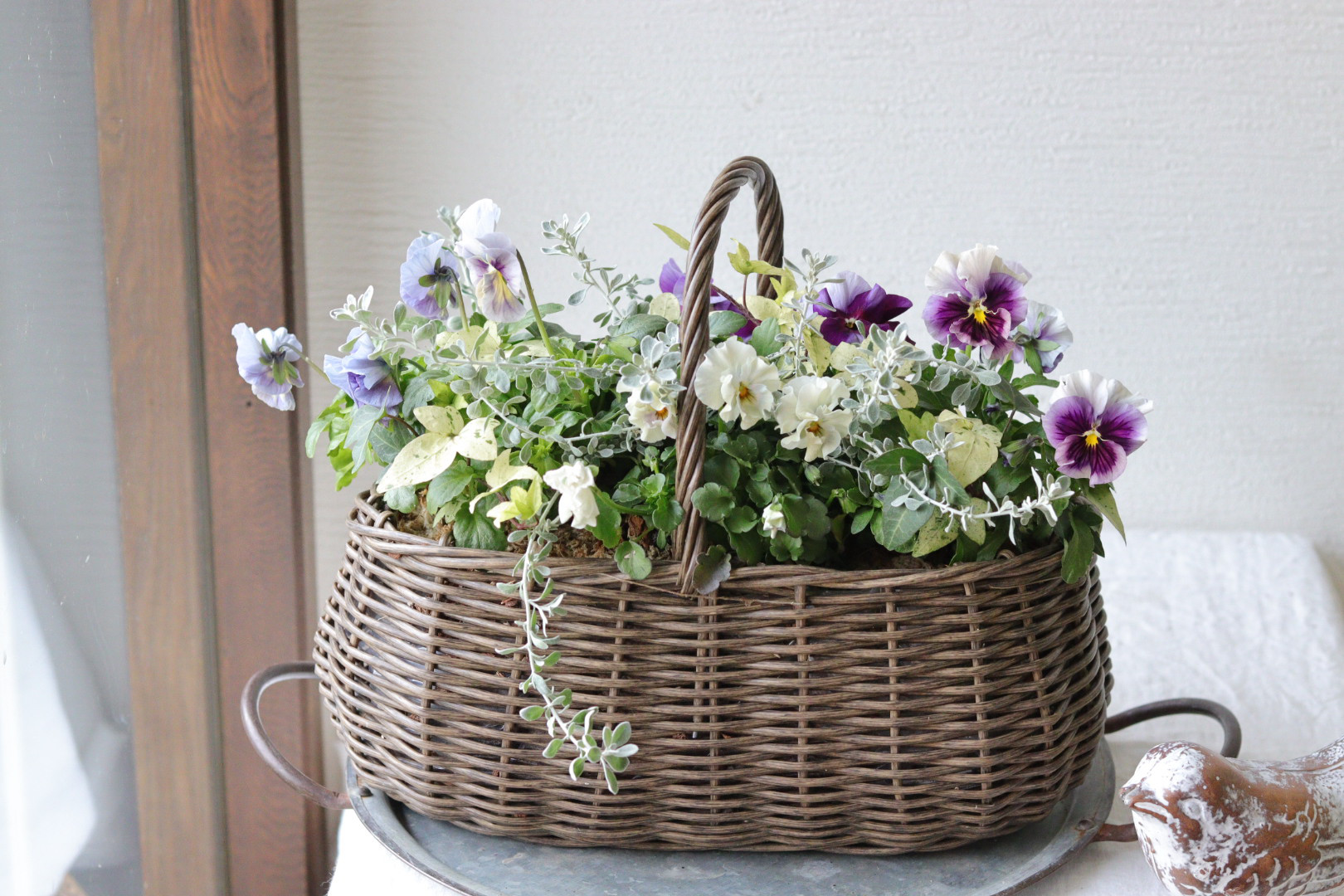 Blue＆White❤︎マシェリマダムのシックな寄せ植え