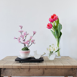 桜 盆栽 のおすすめ人気通販 検索結果｜Creema(クリーマ) ハンドメイド