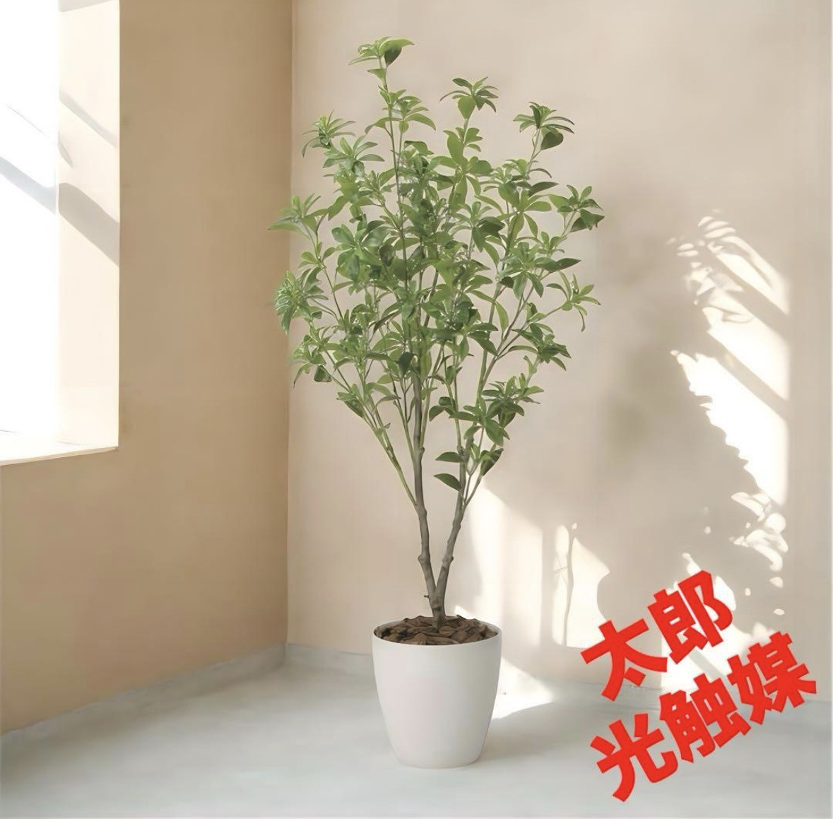 光触媒　人工観葉植物　ウォールグリーン　フェイクグリーン　フレッシュアセビ1.65