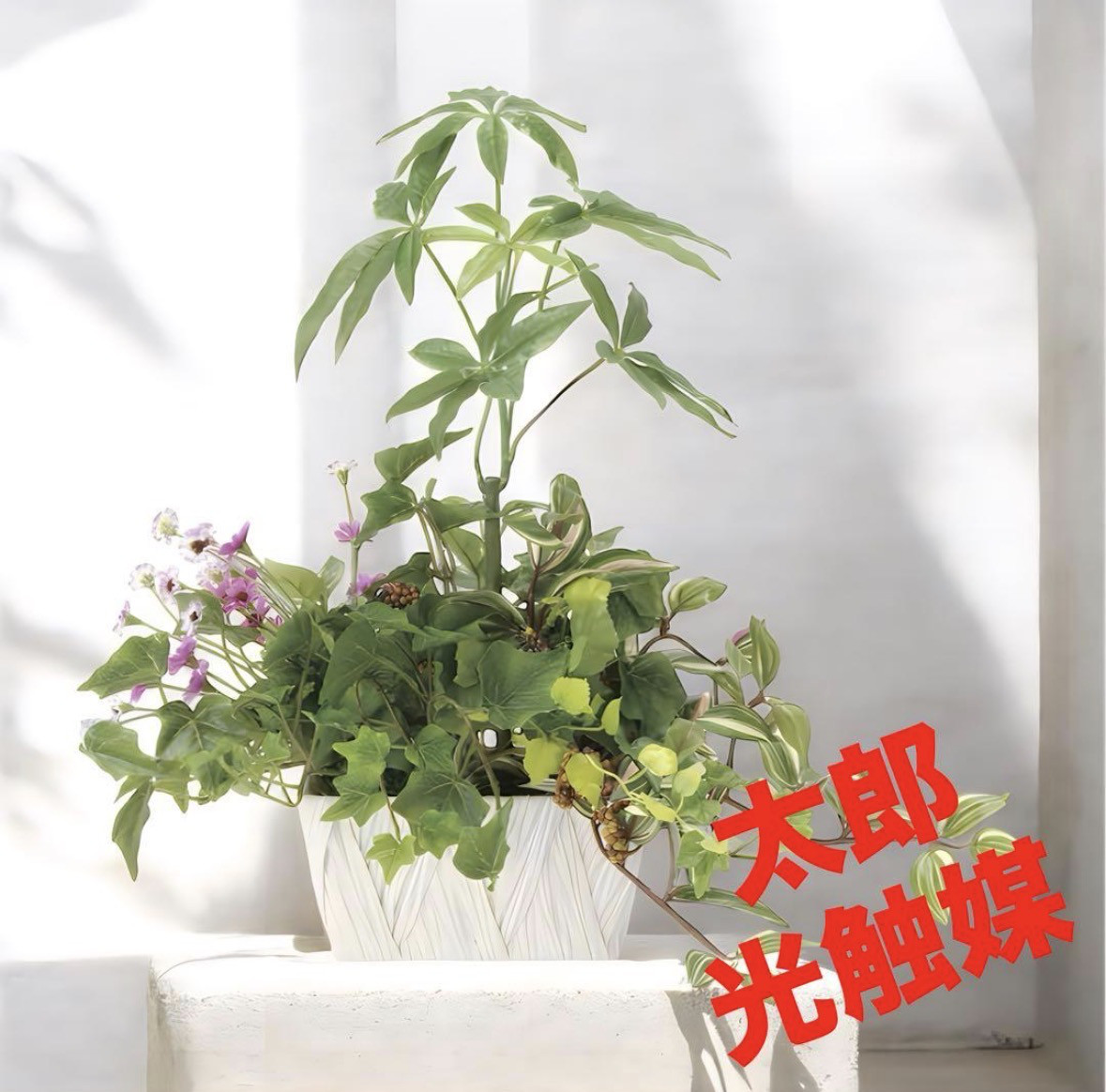 光触媒　人工観葉植物　ウォールグリーン　フェイクグリーン　寄せ植えパキラ