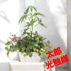 光触媒 人工観葉植物 ウォールグリーン フェイクグリーン 藤の花ツリー