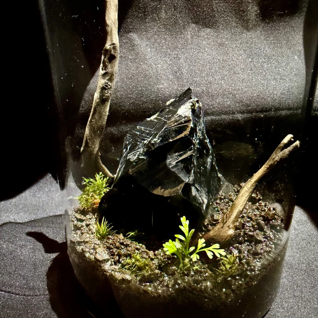 【一点物】アートテラリウム〜玄緑〜「余白の礎」(完成品・フタ付き)約12cm