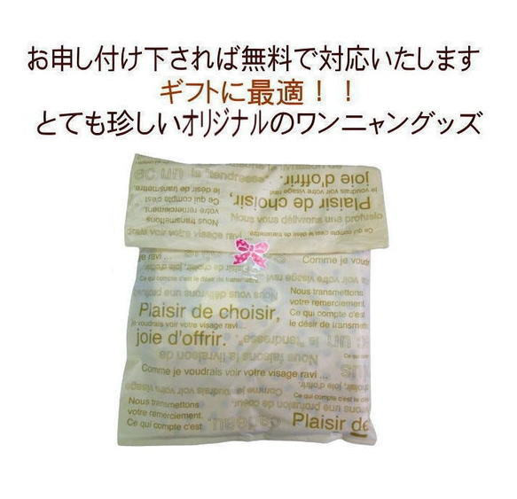  第7張的照片