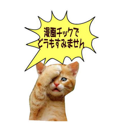  第9張的照片