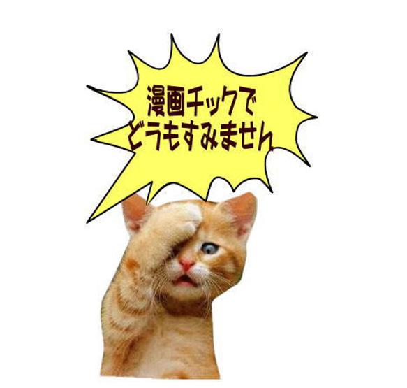  第9張的照片