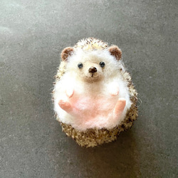 羊毛フェルト オーダー 「リアルで可愛いワンちゃん」額飾り うちの子