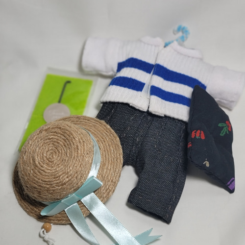 麦わら帽子の猫さん③着せ替え 羊毛フェルト rascar 通販 20378926