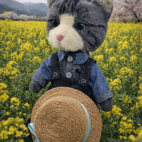 麦わら帽子の猫さん③着せ替え 羊毛フェルト rascar 通販 20378926