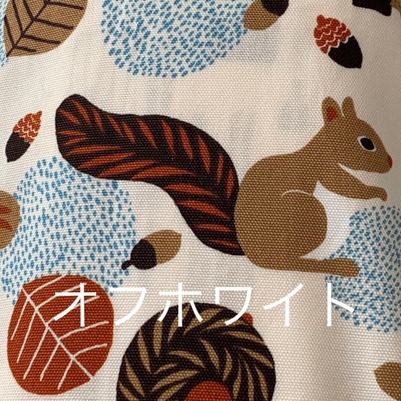 エコティッシュカバー☆マスクストッカー♪リス♡squirrel♪3カラー 5枚目の画像