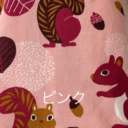 エコティッシュカバー☆マスクストッカー♪リス♡squirrel♪3カラー 6枚目の画像