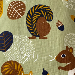 エコティッシュカバー☆マスクストッカー♪リス♡squirrel♪3カラー 7枚目の画像