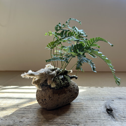 森の香りたっぷりXmasフライングボール リース モモノキ 通販 18437809