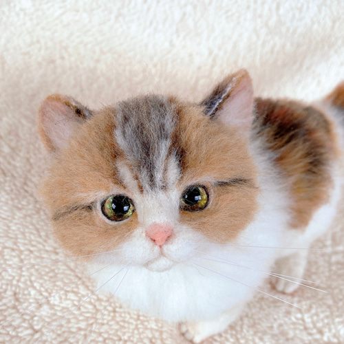 羊毛フェルト猫 全身 リアル可愛い三毛のマンチカン 羊毛フェルト