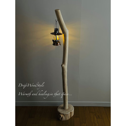 無垢で白く美しい大型サイズの流木スタンド ランタンやエアプラントを飾れる置物 北欧 照明 N7 11枚目の画像