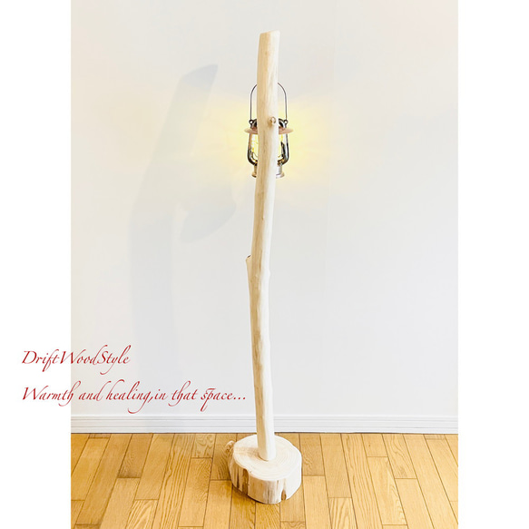 無垢で白く美しい大型サイズの流木スタンド ランタンやエアプラントを飾れる置物 北欧 照明 N7 13枚目の画像