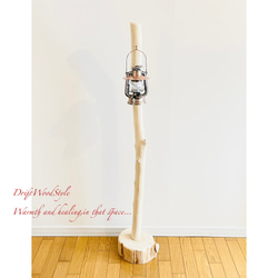 無垢で白く美しい大型サイズの流木スタンド ランタンやエアプラントを飾れる置物 北欧 照明 N7 9枚目の画像