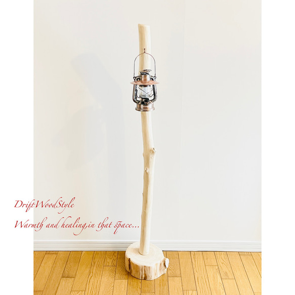 無垢で白く美しい大型サイズの流木スタンド ランタンやエアプラントを飾れる置物 北欧 照明 N7 9枚目の画像