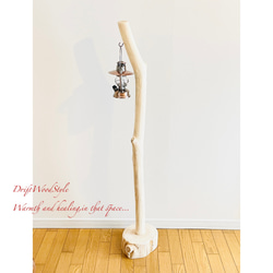 無垢で白く美しい大型サイズの流木スタンド ランタンやエアプラントを飾れる置物 北欧 照明 N7 12枚目の画像