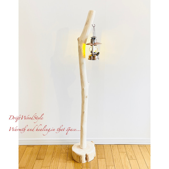 無垢で白く美しい大型サイズの流木スタンド ランタンやエアプラントを飾れる置物 北欧 照明 N7 1枚目の画像