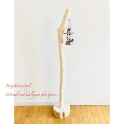 無垢で白く美しい大型サイズの流木スタンド ランタンやエアプラントを飾れる置物 北欧 照明 N7 3枚目の画像