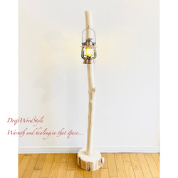 無垢で白く美しい大型サイズの流木スタンド ランタンやエアプラントを飾れる置物 北欧 照明 N7 7枚目の画像