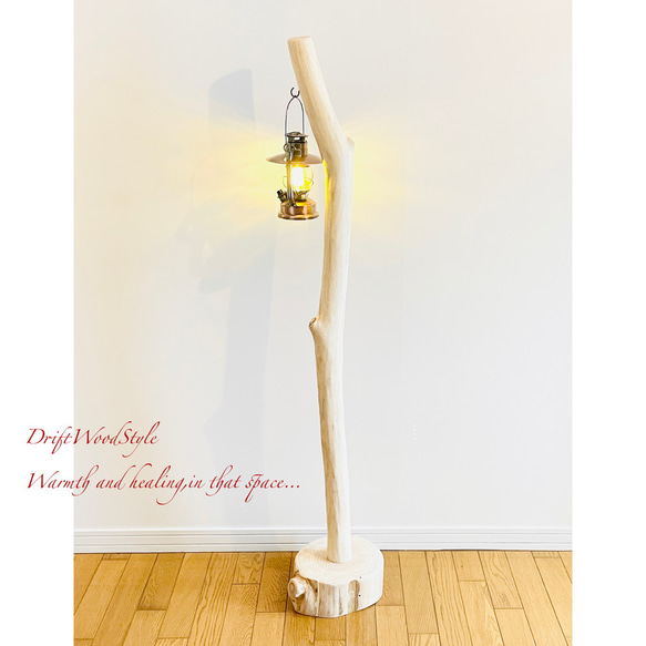 無垢で白く美しい大型サイズの流木スタンド ランタンやエアプラントを飾れる置物 北欧 照明 N7 10枚目の画像