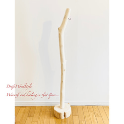 無垢で白く美しい大型サイズの流木スタンド ランタンやエアプラントを飾れる置物 北欧 照明 N7 14枚目の画像