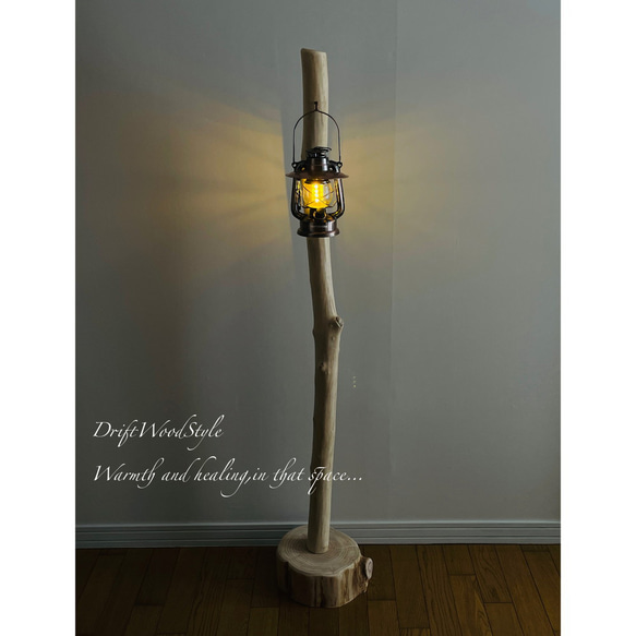 無垢で白く美しい大型サイズの流木スタンド ランタンやエアプラントを飾れる置物 北欧 照明 N7 8枚目の画像