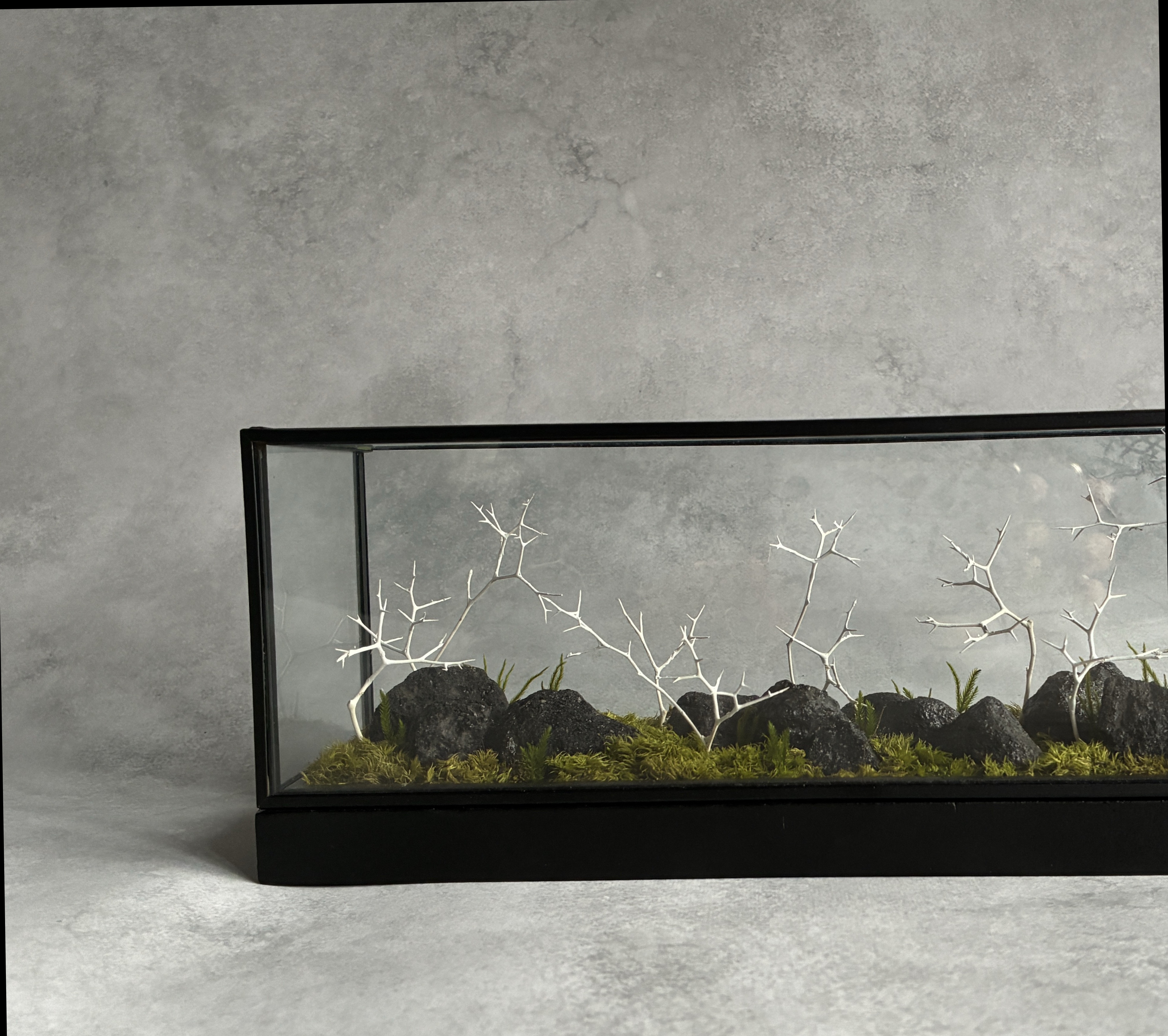 風景箱（石のある風景　冬）