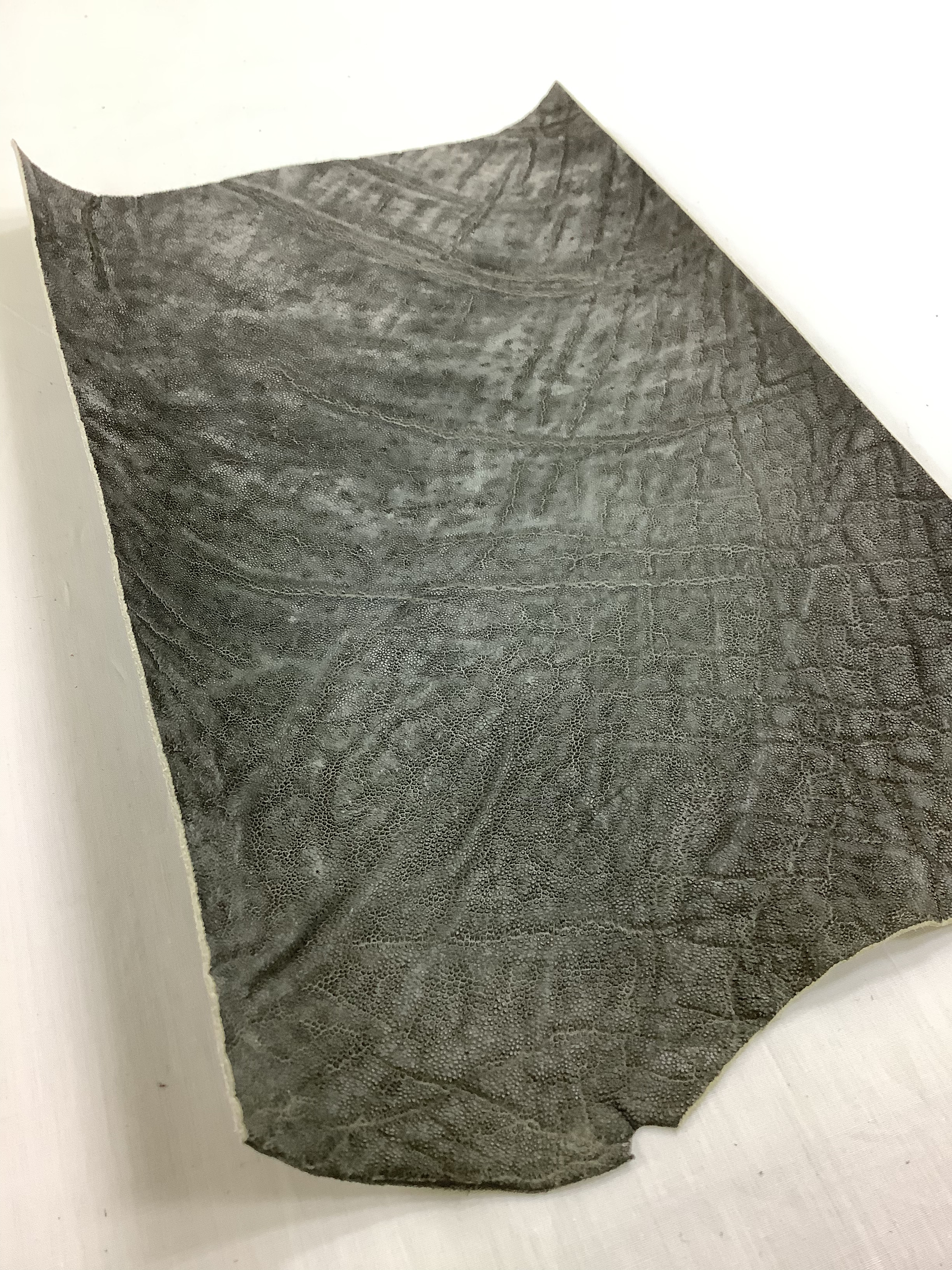 エレファントレザー　ゾウ革　グレー