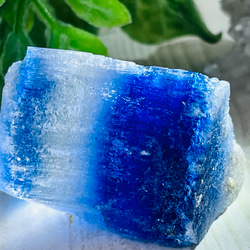 希少！ブラックレムリアンシード 天然石 水晶 鉱物 一点物 クォーツ