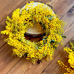 Halloween＊ソラナムパンプキン秋色ドライフラワースワッグ スワッグ