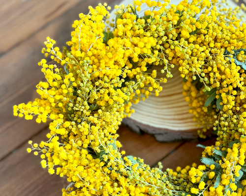 早咲きミモザ】＊春の超早割2026＊ミモザのリース（銀葉アカシア