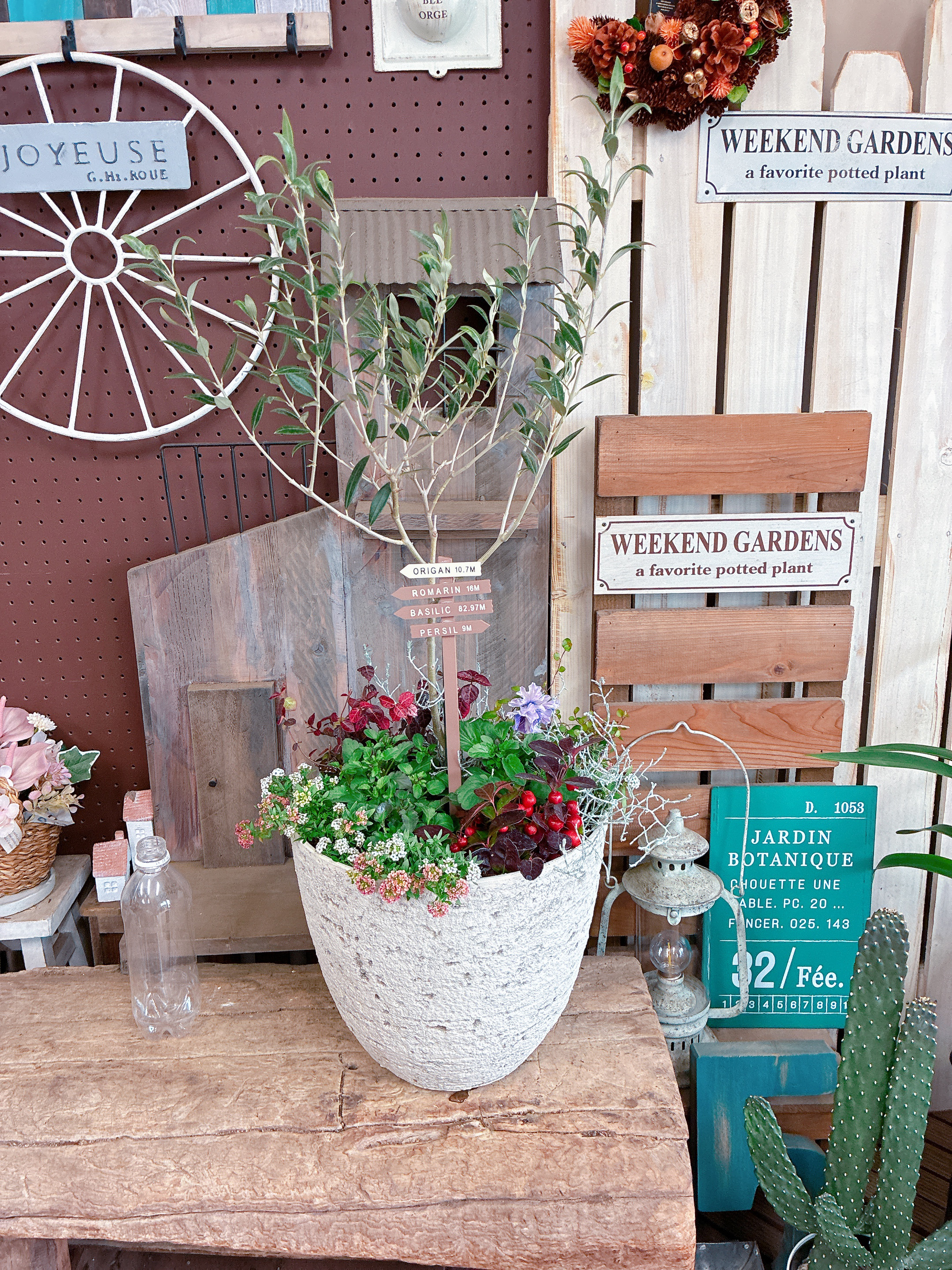 現品SALE♡７種類寄せ植え【オリーブの木】チェッカーベリー入り♡素敵なウッドピックつき！ホワイト系おしゃれ樹脂器