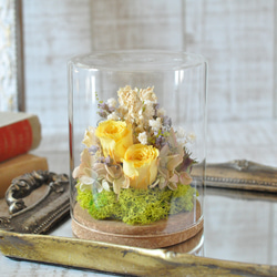 レア切花品種・薔薇☆ペットにも安心なトゲなしバラ☆La Pretty☆4号