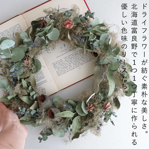 約直径30cm】花七曜の大きなセミオーダーリース ＊ グリーン ◇ ドライ