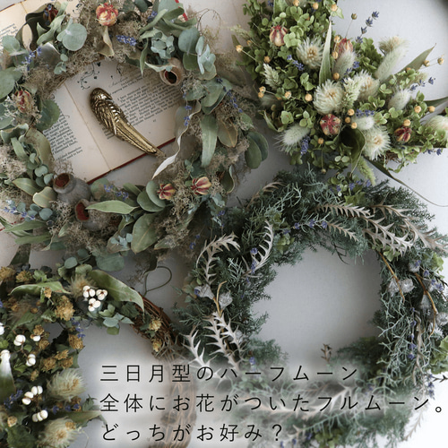 約直径30cm】花七曜の大きなセミオーダーリース ＊ グリーン ◇ ドライ