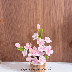 モールフラワー 観葉植物パキラ ハンドメイドインテリア 高さ約18cm 