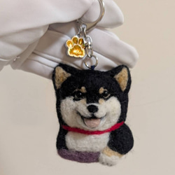 柴犬 羊毛 羊毛フェルト ハンドメイド 黒柴 羊毛フェルト allenkuro48