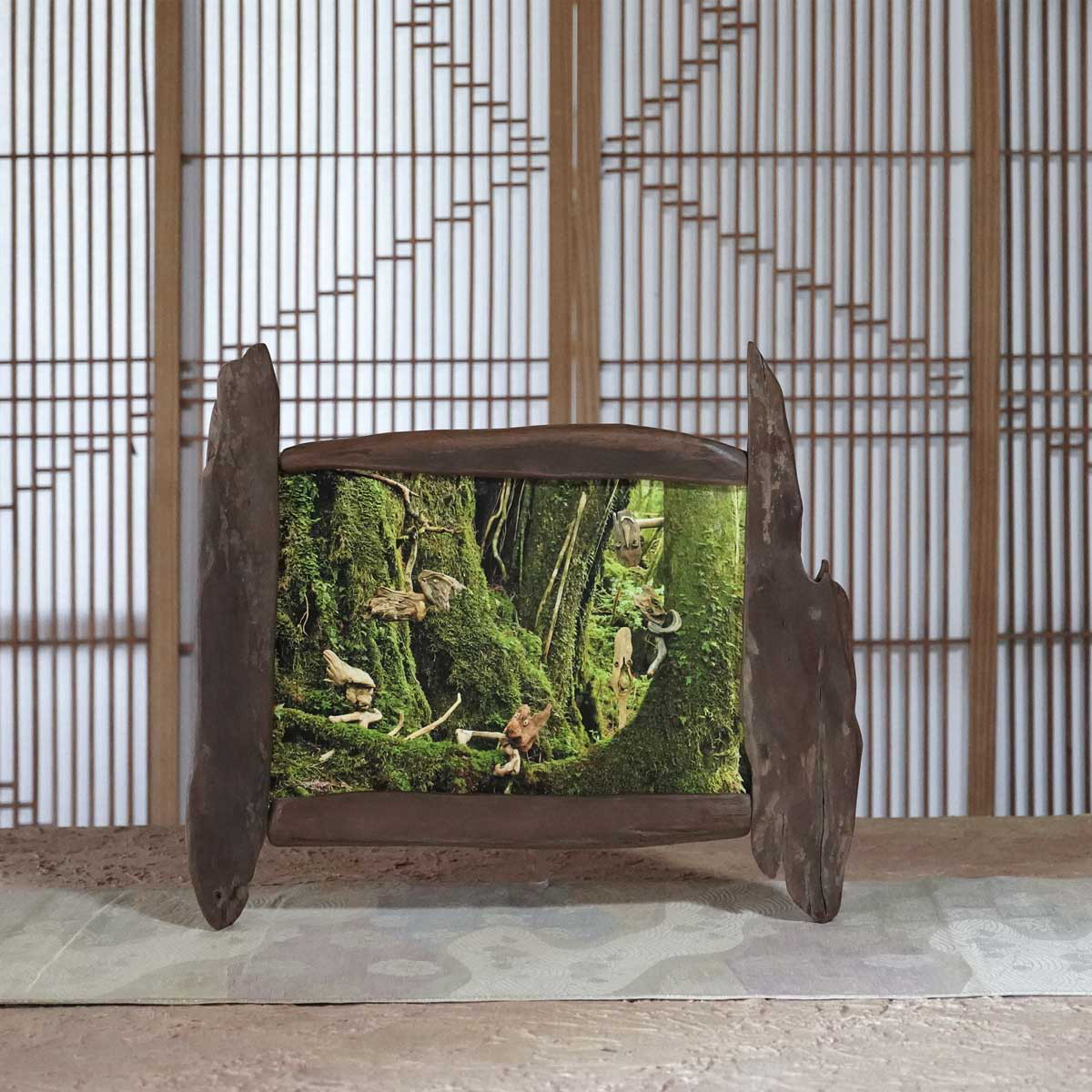 流木フォトスタンド　写真額　写真立て　木の額　　流木アート　木のインテリア　ナチュラルアート　１０６