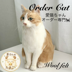 mia 受注商品 ノルウェージャンフォレストキャット 置物 猫 長毛種