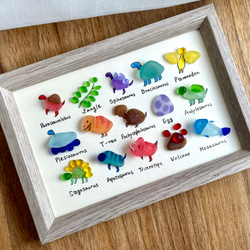 シーグラスアート☆No153 図鑑 ギフト プレゼント 父の日 海の生き物