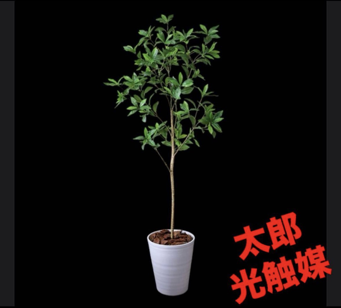 光触媒　人工観葉植物　ウォールグリーン　フェイクグリーン　アセビ8322